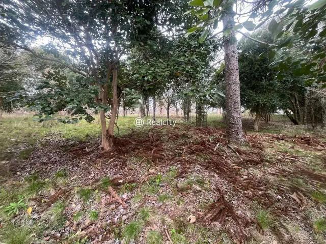 Terreno venda em Região Geográfica Imediata de Bento Gonçalves, Garibaldi