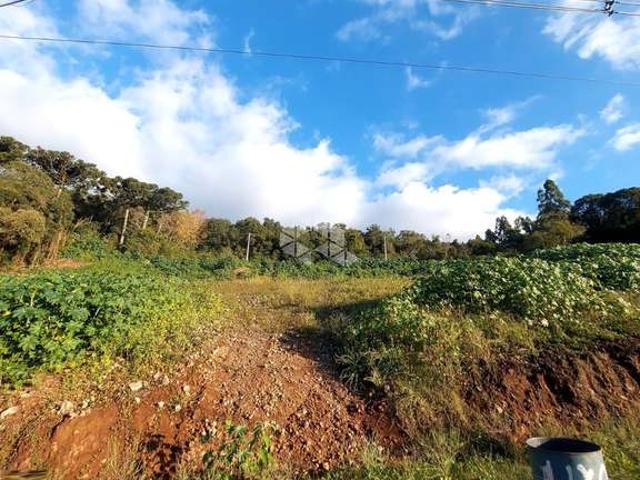 Terreno venda em Garibaldi