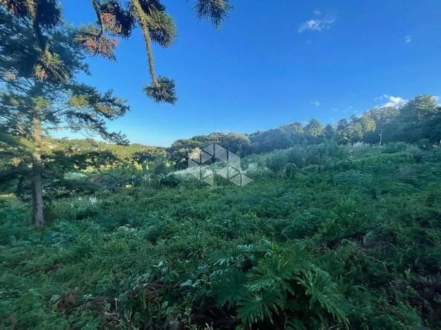 Terreno venda em Garibaldi