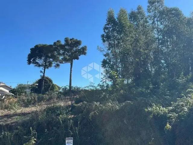 Terreno venda em Garibaldi