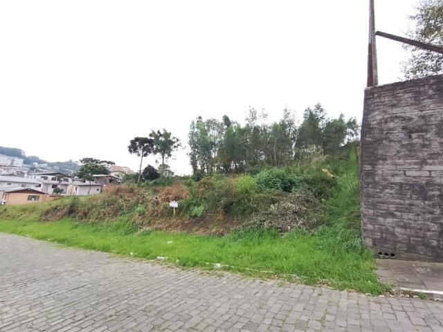 Terreno venda em Garibaldi, Região Geográfica Intermediária de Caxias do Sul