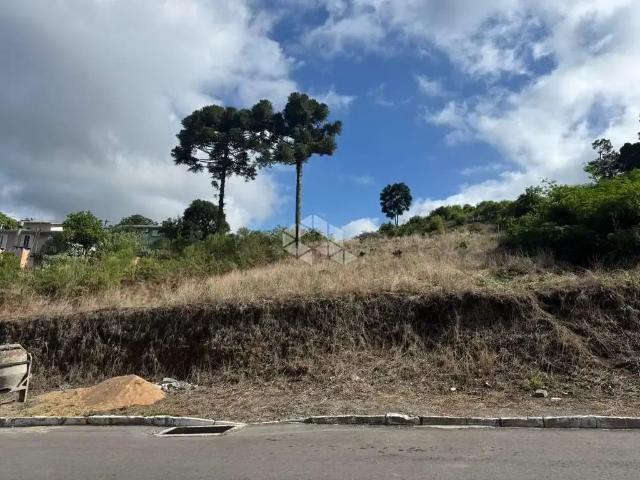 Terreno venda em Garibaldi