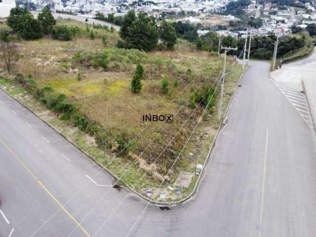Terreno venda em Garibaldi