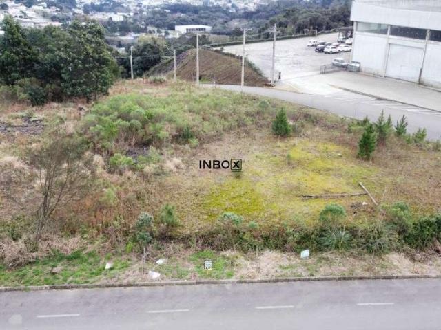 Terreno venda em Garibaldi