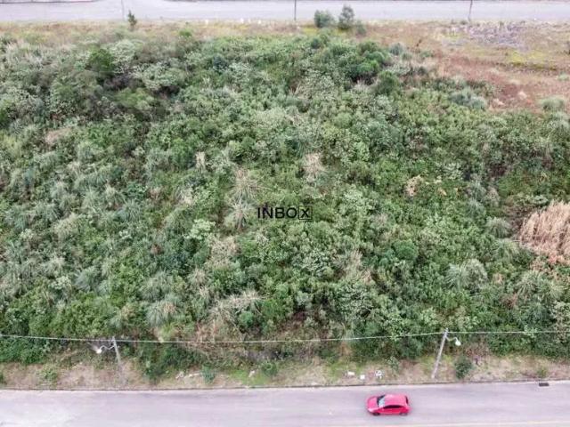 Terreno venda em Garibaldi