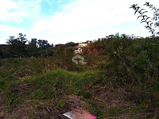 Terreno venda em Garibaldi