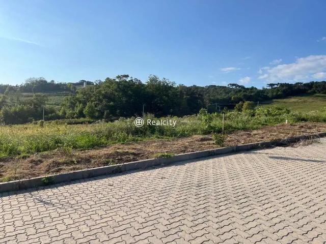 Terreno venda em Garibaldi