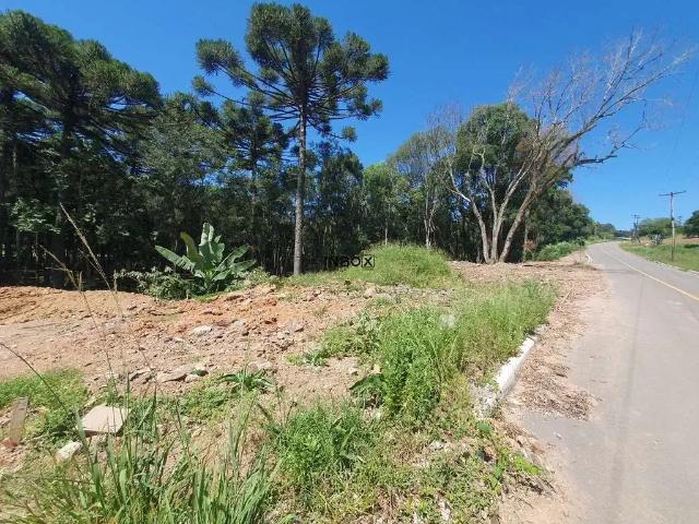 Terreno venda em Garibaldi