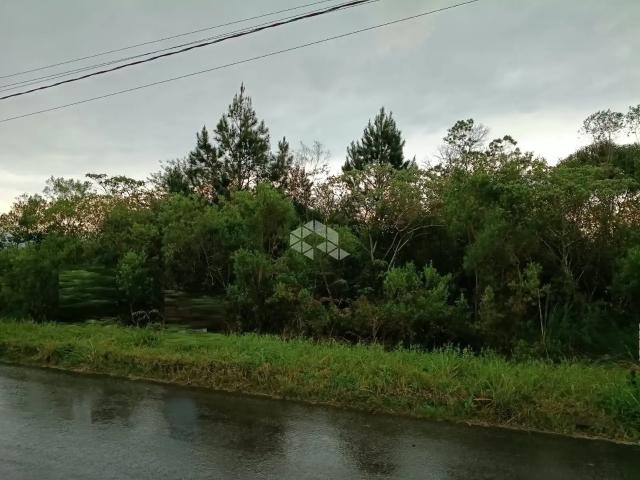 Terreno venda em Garibaldi