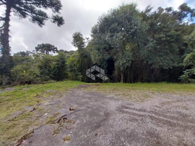 Terreno venda em Garibaldi