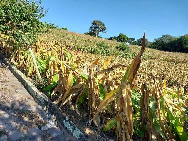 Terreno venda em Região Geográfica Imediata de Bento Gonçalves, Garibaldi