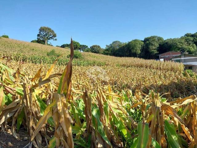 Terreno venda em Região Geográfica Imediata de Bento Gonçalves, Garibaldi