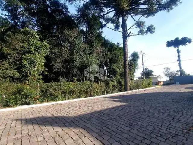 Terreno venda em Garibaldi