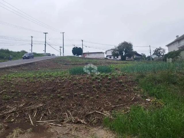 Terreno venda em Garibaldi