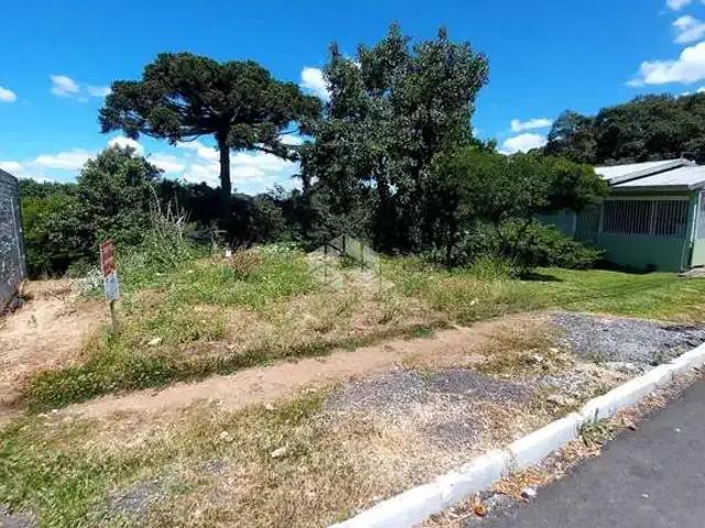 Terreno venda em Garibaldi
