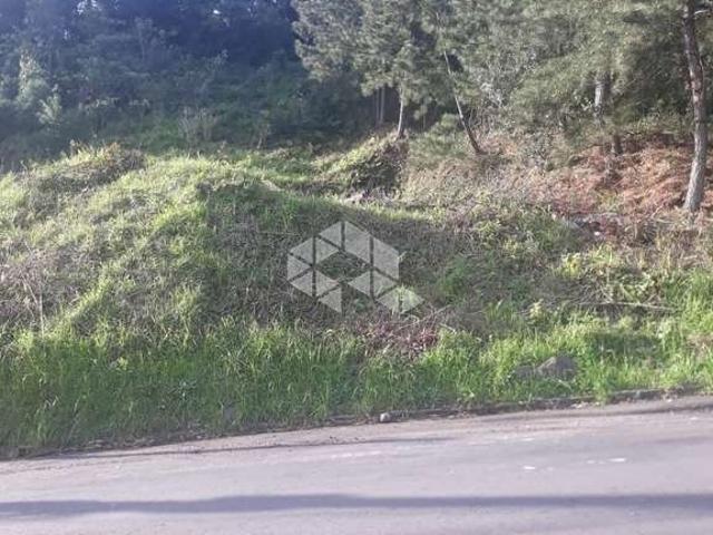 Terreno venda em Garibaldi
