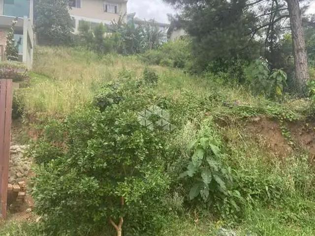 Terreno venda em Garibaldi