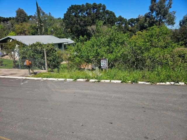 Terreno venda em Garibaldi