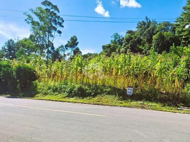 Terreno venda em Garibaldi