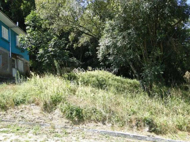Terreno venda em Garibaldi