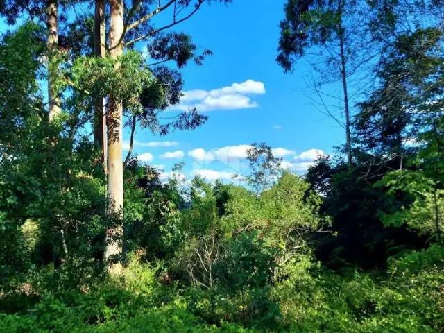 Terreno venda em Garibaldi