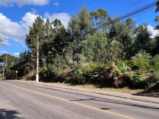 Terreno venda em Garibaldi