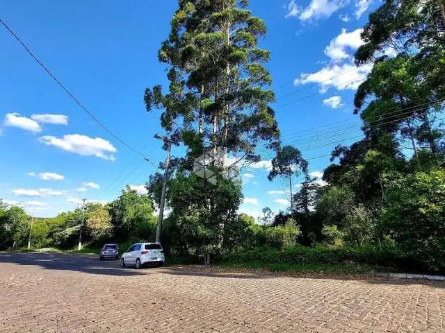 Terreno venda em Garibaldi