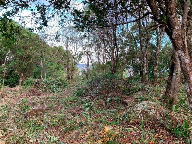 Terreno venda em Região Geográfica Imediata de Florianópolis, Garopaba