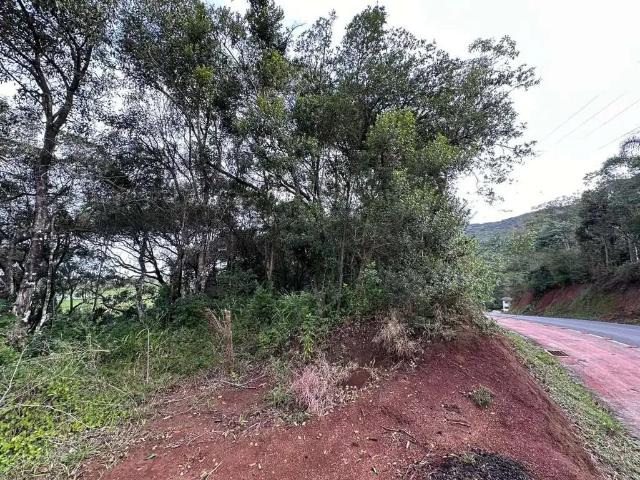 Terreno venda em Região Geográfica Imediata de Florianópolis, Garopaba