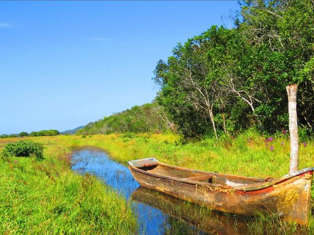 Terreno venda em Região Geográfica Imediata de Florianópolis, Garopaba