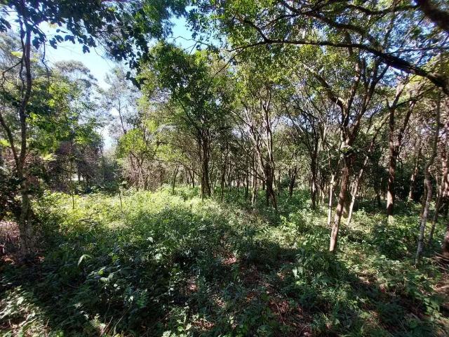 Terreno venda em Garopaba, Região Geográfica Intermediária de Florianópolis