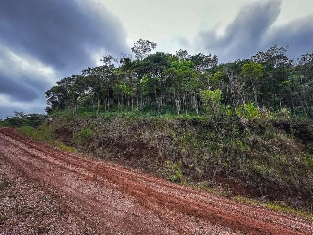 Terreno venda em Centro Histórico, Garopaba