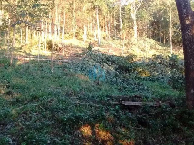 Terreno venda em Região Geográfica Imediata de Florianópolis, Garopaba
