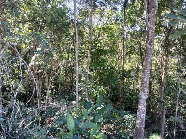 Terreno venda em Região Geográfica Imediata de Florianópolis, Garopaba