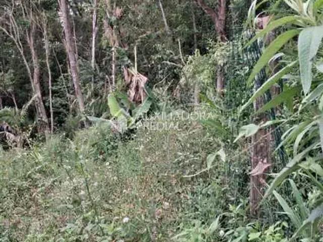 Terreno venda em Região Geográfica Imediata de Florianópolis, Garopaba