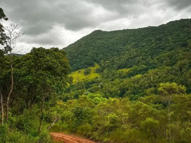 Terreno venda em Região Geográfica Imediata de Florianópolis, Garopaba