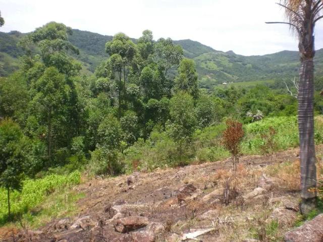 Terreno venda em Região Geográfica Imediata de Florianópolis, Garopaba