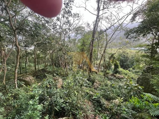 Terreno venda em Região Geográfica Imediata de Florianópolis, Garopaba