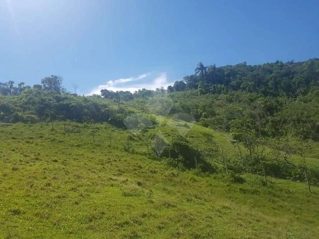 Terreno venda em Região Geográfica Imediata de Florianópolis, Garopaba