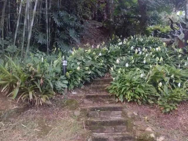 Terreno venda em Centro Histórico, Garopaba