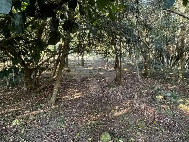 Terreno venda em Região Geográfica Imediata de Florianópolis, Garopaba