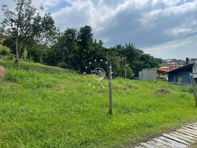 Terreno venda em Região Geográfica Imediata de Florianópolis, Garopaba