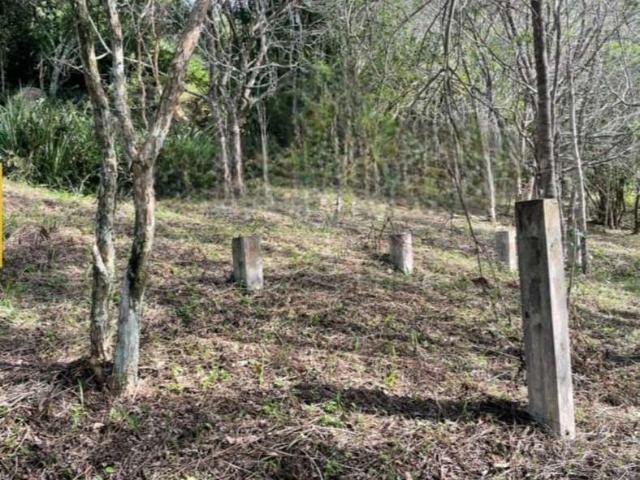 Terreno venda em Região Geográfica Imediata de Florianópolis, Garopaba