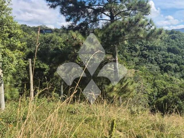 Terreno venda em Pinguirito, Garopaba