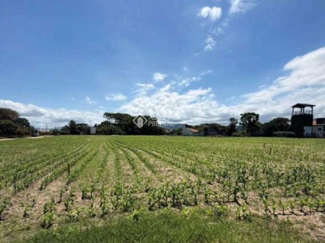 Terreno venda em Grama, Garopaba