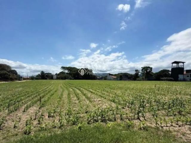 Terreno venda em Grama, Garopaba