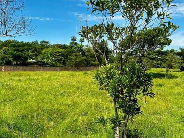 Terreno venda em Região Geográfica Imediata de Itajaí, Itajaí