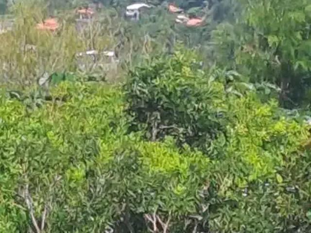 Terreno venda em Região Geográfica Imediata de Florianópolis, Garopaba
