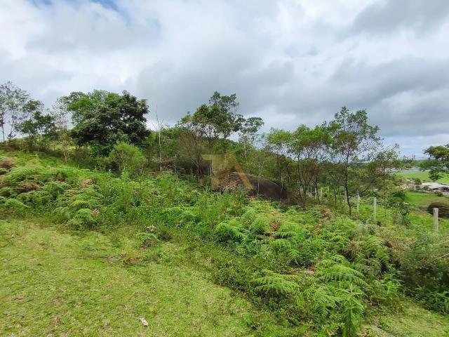 Terreno venda em Região Geográfica Imediata de Florianópolis, Garopaba