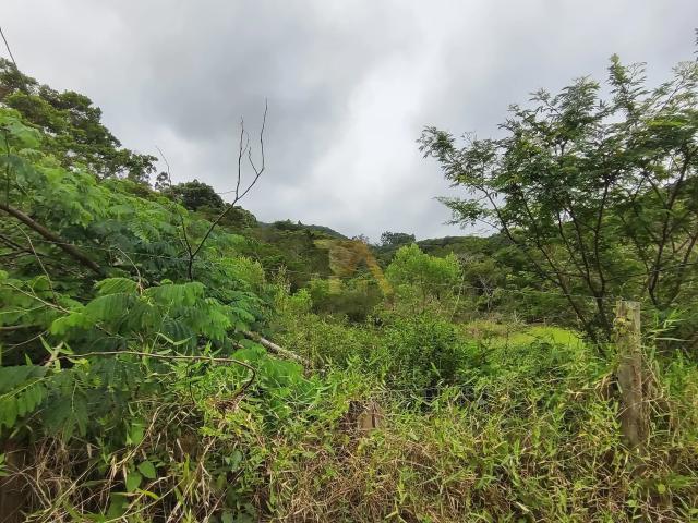 Terreno venda em Região Geográfica Imediata de Florianópolis, Garopaba